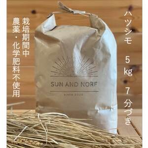 【令和7年産】初霜(源種)　7分づき5kg　(栽培期間中農薬・化学肥料不使用)【1721470】