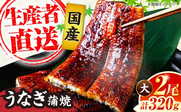 
                  国産 うなぎ 蒲焼 大2尾 合計 320g (1尾あたり 160g以上) 《豊前市》【福岡養鰻】 国産 鰻 2尾 蒲焼き うなぎ ウナギ お祝い プレゼント 贈答 ギフト うなぎ 2尾 国産鰻 人気 おすすめ 福岡産 土用の丑の日 贅沢 ご褒美 ウナギ おいしい 鰻 かばやき 高級 特別 贅沢 unagi ひつまぶし うなぎ ウナギ 鰻 九州 福岡 豊前市 [VAD002]
                