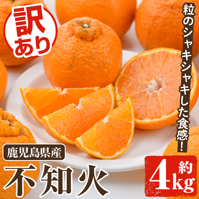 ＜先行予約受付中！2027年2月上旬以降順次発送予定＞訳あり不知火(約4kg) 国産 鹿児島県産 果物 フルーツ 柑橘 不知火【松永青果】akn053-17