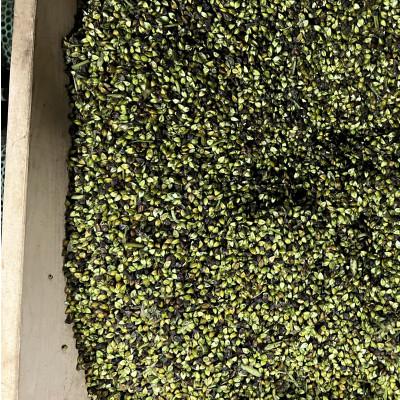 ふるさと納税 小美玉市 【全粒微細粉】　常陸秋そば　10kg |  | 02