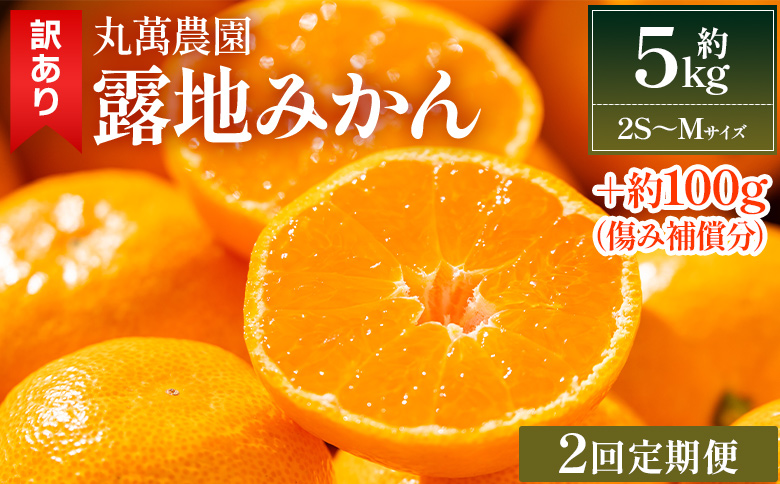 みかん 【２回定期便】露地みかん(2S～Mサイズ) 5kg 家庭用 丸萬農園 - 果物 くだもの フルーツ 果実 柑橘 かんきつ 蜜柑 みかん ミカン 果汁 期間限定 訳アリ Ｗmn-0017