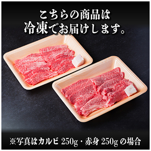 飛騨牛 カルビ・赤身(焼肉用)500g(各250g)【配送不可地域：離島】【1543761】