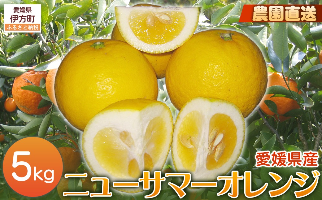 【栽培期間中農薬不使用】【先行受付】【数量限定】農園直送！愛媛県産ニューサマーオレンジ 5kg （2026年3月下旬頃より順次発送） IKTG009