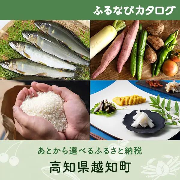 【有効期限なし！後からゆっくり特産品を選べる】高知県越知町カタログポイント