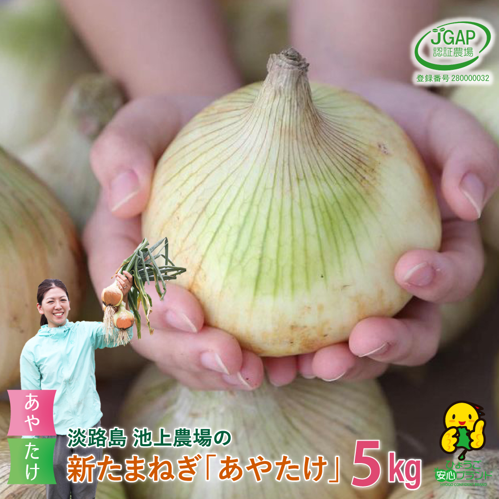 【新たまねぎ】淡路島 池上農場の「あやたけ」5kg【発送時