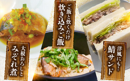 鯖缶詰6缶詰め合わせC / さば缶 缶詰 サバ 魚 小浜市 / 福井缶詰  [BFAB033]