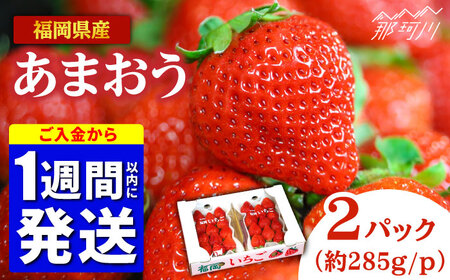 【先行予約】福岡県産あまおう 約285g×2P  あまおう あまおう あまおう あまおう あまおう