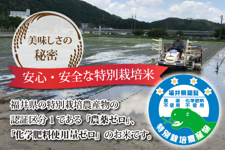 【玄米】 令和5年度産 永平寺町産 農薬不使用・化学肥料不使用 特別栽培米 コシヒカリ 5kg [B-033056]