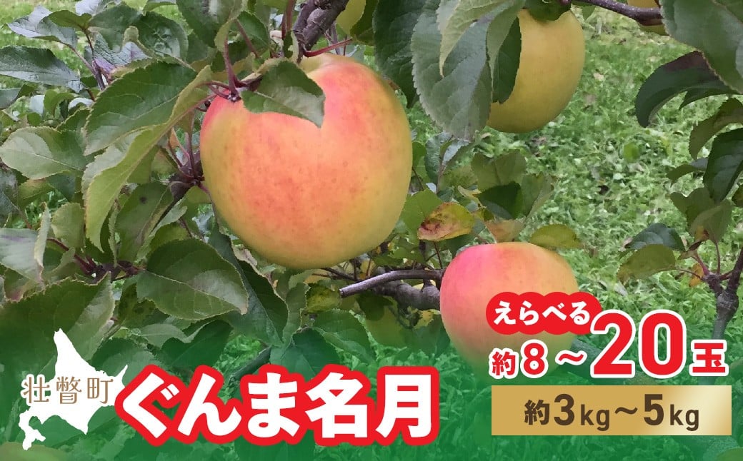 
            ＜2025年11月中旬よりお届け＞ 北海道壮瞥町 りんご 「ぐんま名月」 選べる容量 8～20玉 約3kg～5kg 【 ふるさと納税 人気 おすすめ ランキング りんご リンゴ 林檎 ぐんま名月 甘い 蜜 北海道 壮瞥町 送料無料 】 SBTF004
          