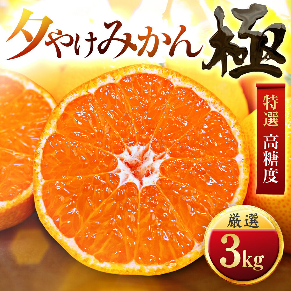【ふるさと納税】【先行受付】【甘みが濃縮されたみかん】愛媛で育った夕やけみかん【極】3kg／5kg／10kg／20kgみかん ミカン 蜜柑 夕やけみかん 果物 くだもの フルーツ 甘い おいしい かんきつ 柑橘 柑橘類 愛媛 愛媛県 八幡浜市 産直 YWTZ017
