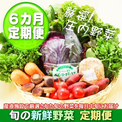 ふるさと納税 庄内町 【6か月定期便】新鮮野菜 産直施設「あっでば」直送【8月中旬発送】