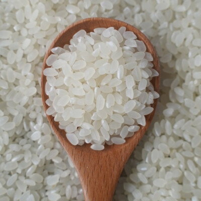 【ふるさと納税】有機こしひかり白米450g×20袋(令和7年産)【1709190】