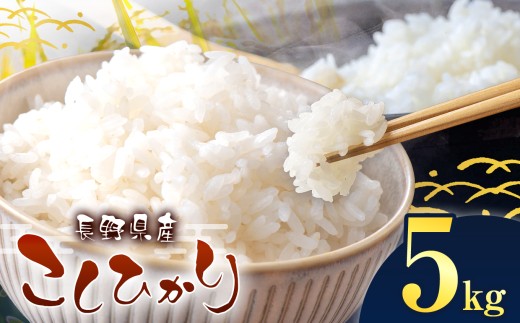 伊那市産 こしひかり 5kg｜ 米 コシヒカリ こしひかり 白米 ご飯 お米 伊那 伊那産 長野県 ふるさと納税【014-56】