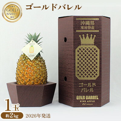 【ふるさと納税】東村産 ゴールドバレルパイン1（1玉・約2kg）【2026年発送】 ゴールドバレル パインアップル パイナップル パイン 国産パイン 国産 生産量日本一 ゴールドバレルパイン 甘い おいしい 希少 バレル 人気 ジューシー 南国 トロピカル 予約 先行予約 沖縄 東村