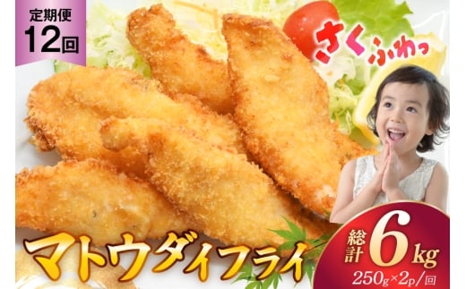魚フライ 魚 フライ 鯛 揚げ物 冷凍  12回 定期便 マトウダイのフライ 約500g (250g×2パック) 総計6kg [ひばり 長崎県 平戸市 hr42bgy420347] フィッシュフライ 白身 白身フライ 白身魚 惣菜 揚げ魚 冷凍食品 おかず 魚介 海鮮 海産物 小分け 国産 お取り寄せ ギフト