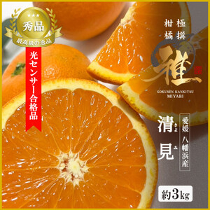 2026年3月出荷開始　極撰柑橘【雅】光センサー合格品・完熟「清見」3キロ【C39-56】【配送不可地域：離島】【1462396】