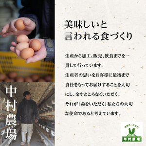 中村農場　お楽しみたまご６パックセット [h024]