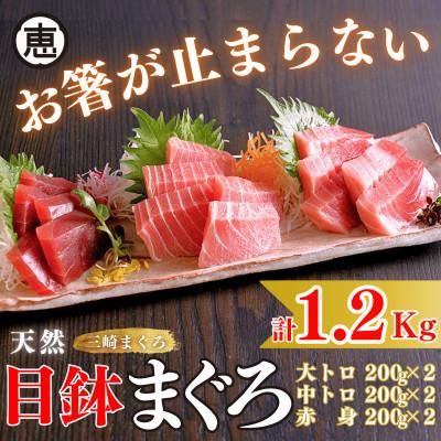 ふるさと納税 三浦市 【お箸が止まらない】天然目鉢まぐろ 1.2kg(大トロ400g,中トロ400g, 赤身400g)
