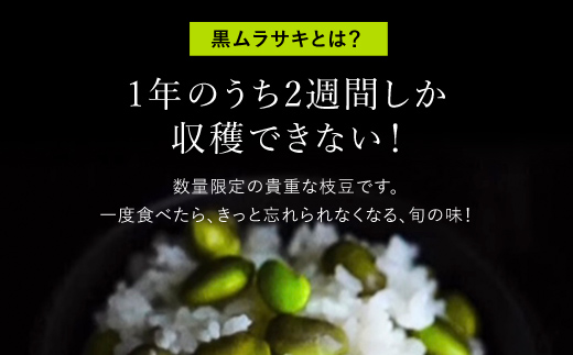 ★先行予約★【2025年10月発送！】丹波黒大豆の枝豆「黒ムラサキ」1㎏ / ふるさと納税 京野菜 野菜 丹波 黒大豆 枝豆 大粒 季節限定 数量限定 京都府 福知山市 FCDB037