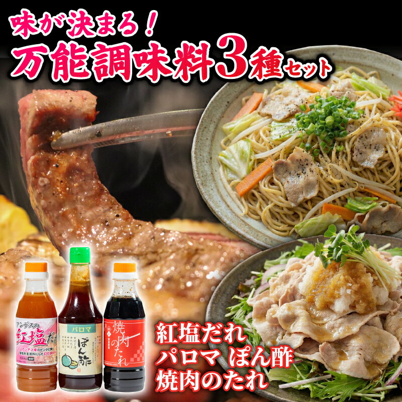 【ふるさと納税】 大阪 万能 調味料 3種 アソート セット ( ポン酢 / 焼肉のたれ / 紅塩だれ ) 和泉食品 パロマ 3本 詰め合わせ 地ソース 松原市 お取り寄せ グルメ ドレッシング 無添加 鍋 焼肉 料理