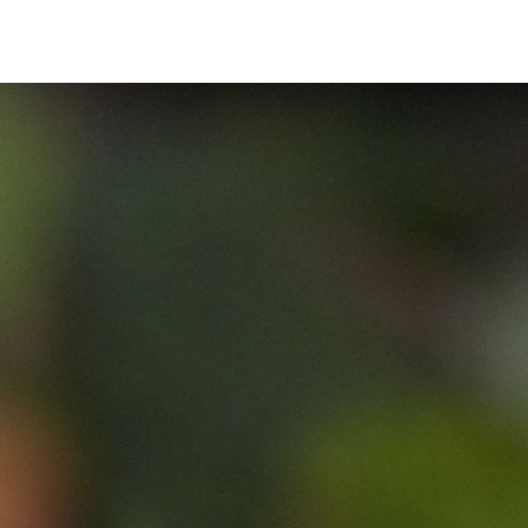 【眺めてうっとり、かじって甘い！】JAの「いちごさん」240g✕4パック【JA伊万里_園芸】いちご イチゴ 苺 いちごさん 果物 4パック 小分け 佐賀 佐賀いちご 甘い 酸味 10000円 1万円 