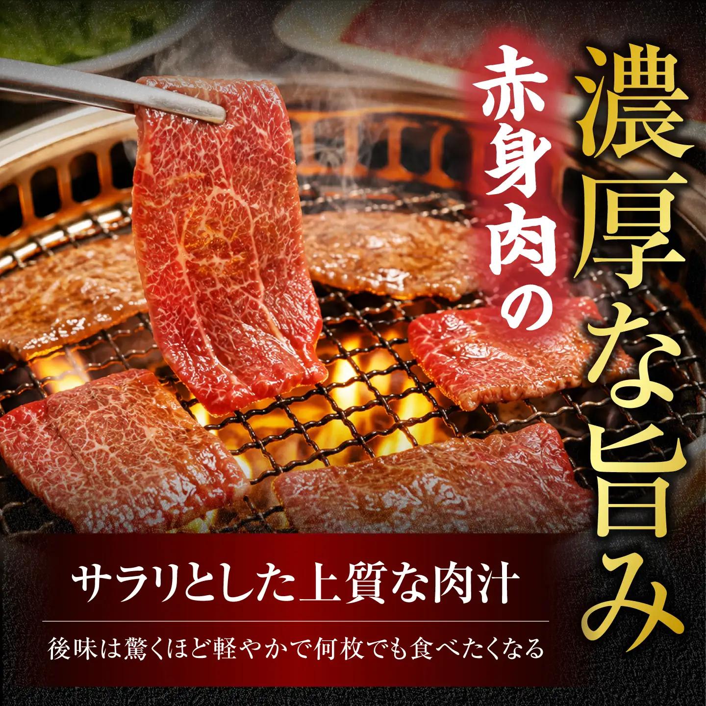 飛騨牛 赤身 焼肉用 500g【有限会社マルゴー】 A5 赤身肉 焼肉 冷凍 岐阜県産[MBE081]