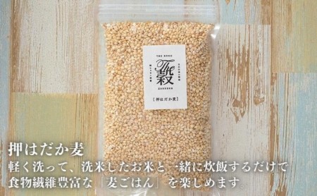 押しはだか麦 麦ごはん 食物繊維 愛媛県産 押しはだか麦【計2kg(1kg×2袋)】