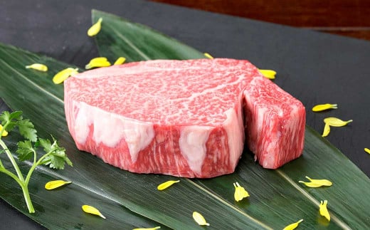 くまもと黒毛和牛 ヒレステーキ 200g（200g×1枚） 牛肉 牛 肉 黒毛和牛 和牛 お取り寄せ