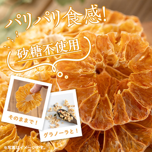 isa570 《数量限定》ドライフルーツボンタン「そのまんまドライしました。」(計12袋・各20g) ドライフルーツ ボンタン 砂糖不使用 小分け 手づくり ギフト 加工食品 果物 フルーツ ハンドメ