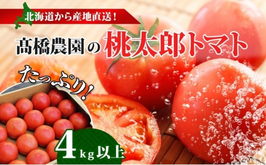 
                  北海道 高橋農園 桃太郎トマト 4kg以上 M～Lサイズ (18玉～24玉) 5月中旬～9月上旬頃お届け 大玉トマト tomato 産地直送 農家直送 新鮮 野菜 安心 安全 とれたて 完熟 洞爺湖町 送料無料
                