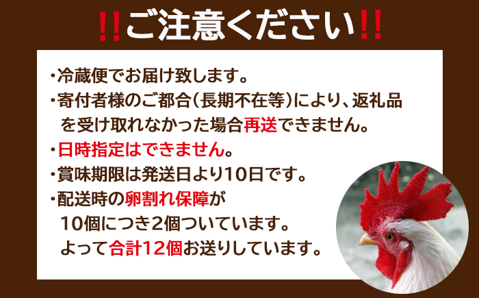 たまごファクトリーの味付ゆでたまご 合計12個（10個＋割れ保障2個） 3ヶ月定期便 ／ 卵 タマゴ たまごファクトリー