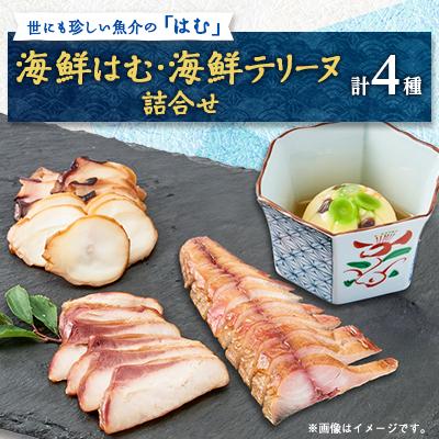 ふるさと納税 野々市市 海鮮はむ/海鮮テリーヌ詰合せ
