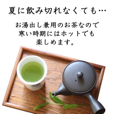 ふるさと納税 新富町 宮崎日本茶専門店　特撰水出しティーバッグ(5g×20p)　10本セット |  | 03