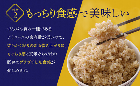 金のいぶき玄米 10kg