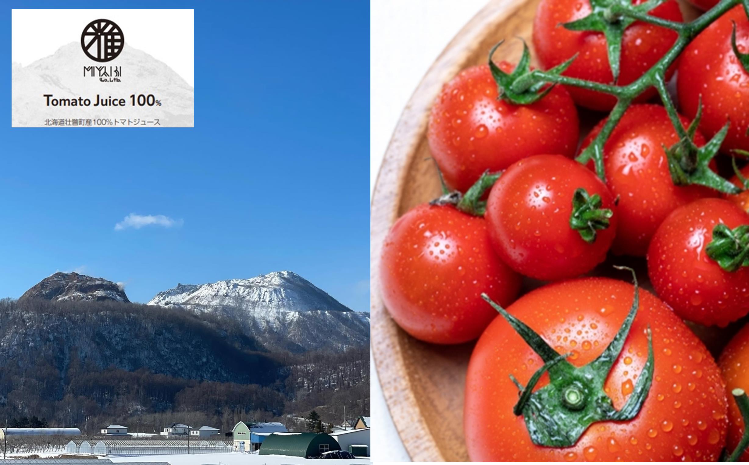 無添加トマトジュース（ストレート）260ml×2本【ミックス2本】 SBTAK004