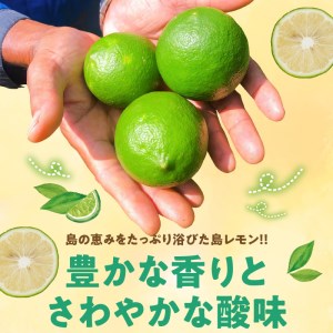 ■【 先行受付 】 栽培期間中 農薬 ・ 除草剤 ・ 化学肥料不使用 ！ 南国 の 島レモン 1kg ！【2025年9月～2026年2月下旬お届け】 W043-005u レモン れもん 檸檬 フルーツ