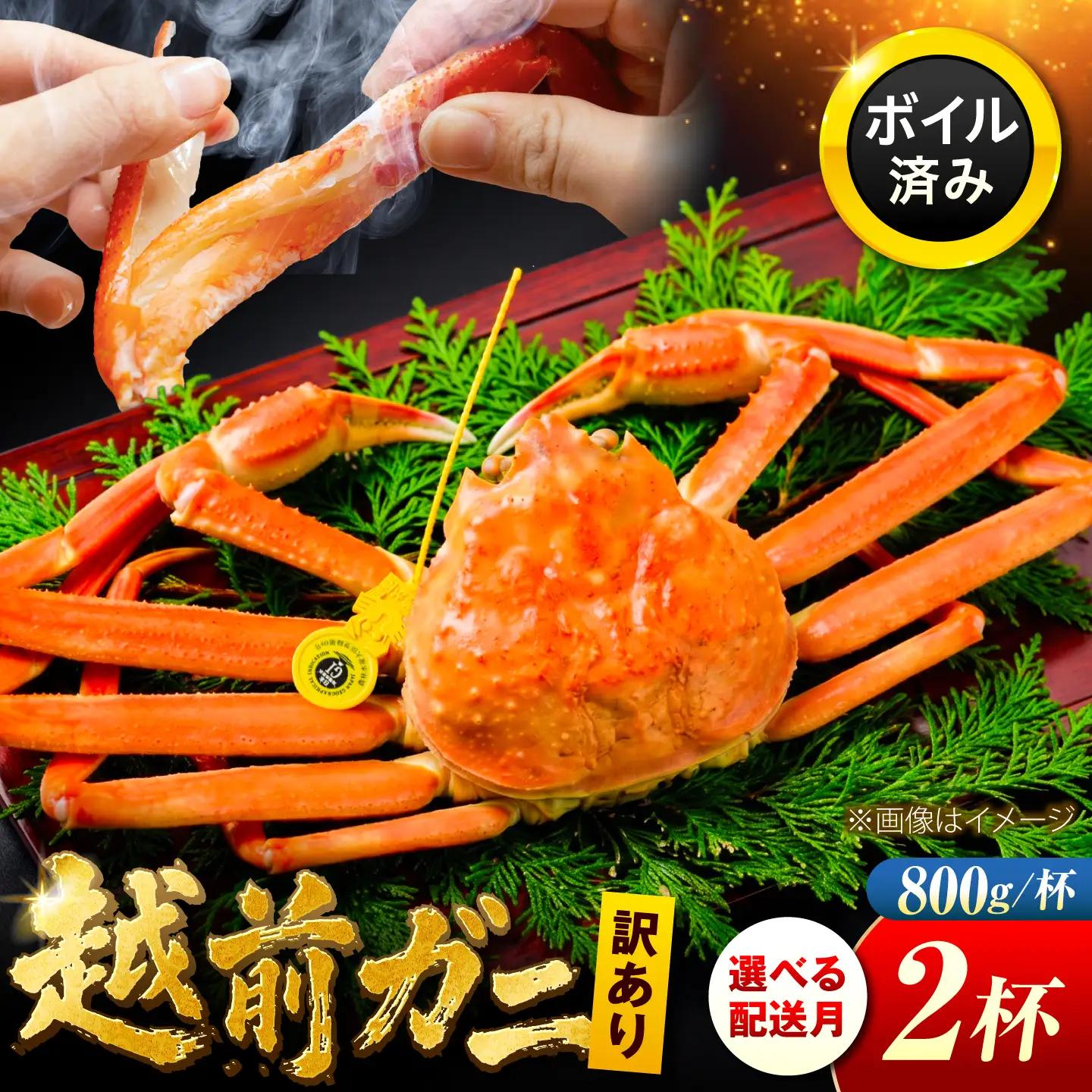 訳アリ 脚折れあり 越前がに 800g×2ハイ[BFCS069]