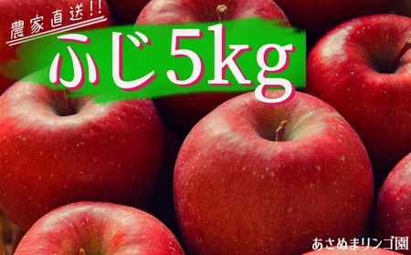 雫石町産 リンゴ （ふじ）5kg【数量限定】／農家直送 りんご  あさぬまリンゴ園