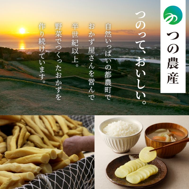 ピリ辛ザーサイ100g_T037-004 【つけもの おかず 野菜 加工品 国産 人気 ギフト おかず 食品 和食 ご飯 贈り物 送料無料 プレゼント】