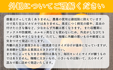 見た目は悪いが味は絶品　無茶々園のせとか　３kg