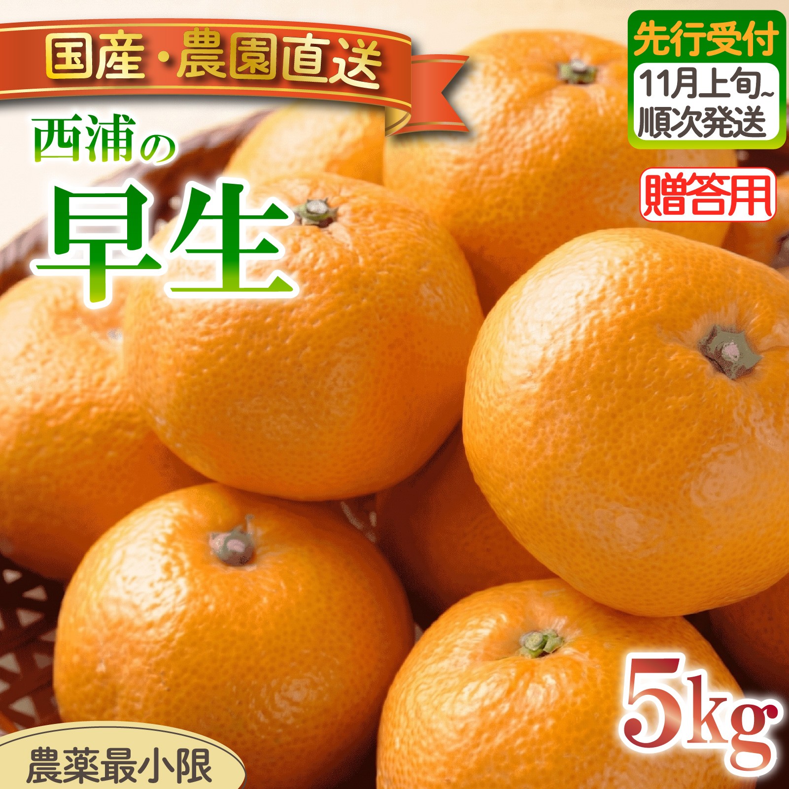 
                  早生 みかん 5kg 【贈答用】 木負観光みかん園 ミカン オレンジ 蜜柑 柑橘 フルーツ 旬 果物 国産 産地直送 季節限定 西浦 沼津市 静岡県 贈答 ギフト プレゼント 贈り物
                
