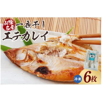 ふるさと納税 香美町 山陰名産エテカレイ一夜干し 6枚