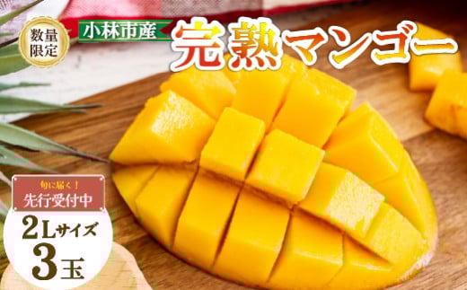 【数量限定・先行受付】厳選宮崎完熟マンゴーよくばり3玉 計1kg程度（フルーツ  2026 マンゴー 先行予約 完熟マンゴー 宮崎 小林市 果物 人気）