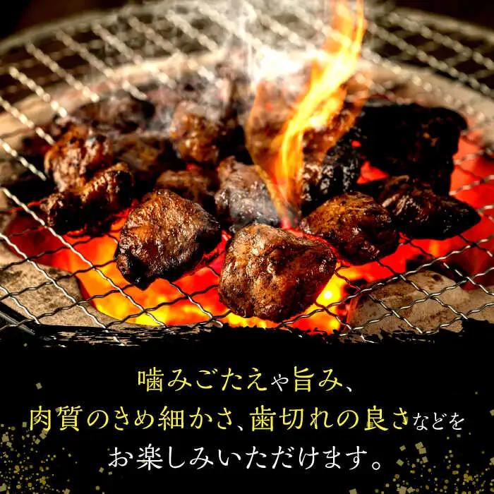 はかた地どり炭火焼きセット500g(100g×5p) 桂川町/株式会社 MEAT PLUS [ADAQ087] 地鶏 鶏肉 炭火 炭火焼き 九州産 地鶏の炭火焼 鶏 肉 小分け