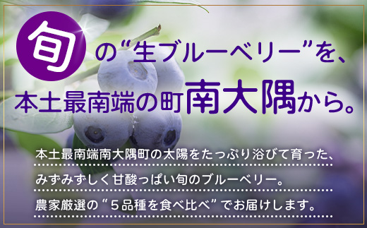 【期間限定】南大隅産 (生) ブルーベリー 食べ比べセット (5品種を1パックずつ) 100g×5P BO-2｜鹿児島県 南大隅町 旬 産地直送 果物 フルーツ くだもの 新鮮 農園 冷蔵 本土最南端