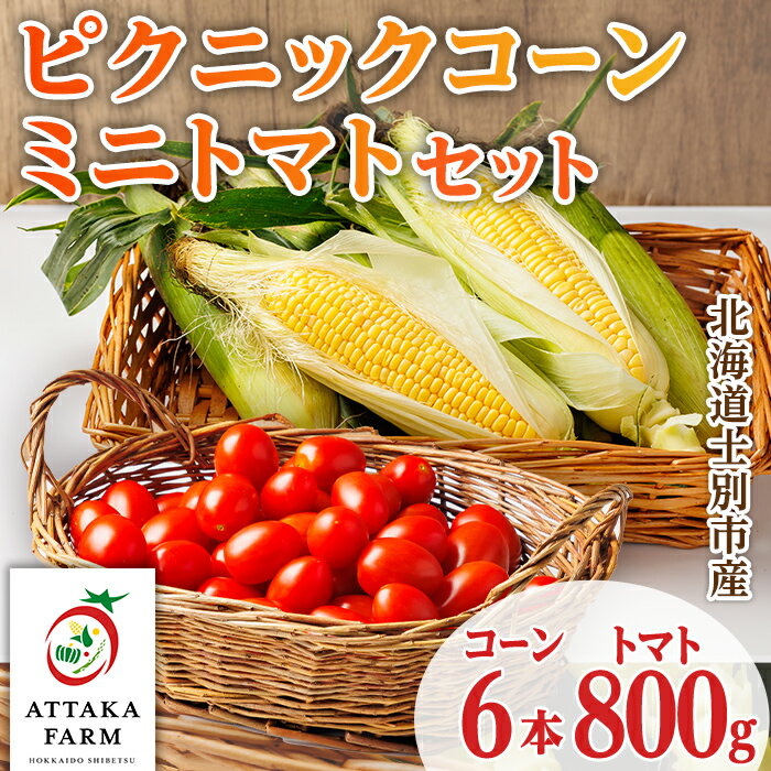【ふるさと納税】《先行予約受付中》北海道 士別市産 極甘 ピクニックコーン(6本)とミニトマト(800g)のセット 【2026年8月以降順次発送】とうもろこし トウモロコシ とうきび コーン トマト ミニトマト 野菜 新鮮 産地直送 北海道 北海道産 国産 旬 【あったかふぁーむ】