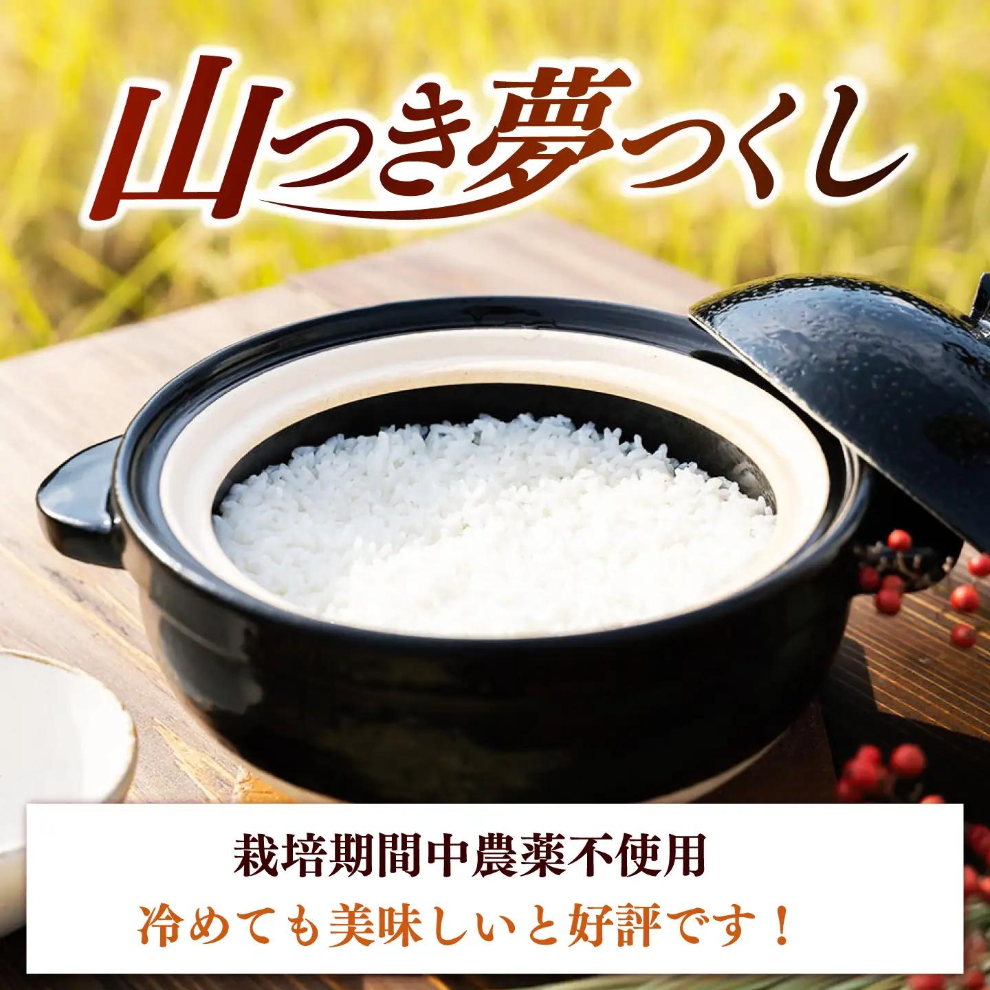 農薬 を使わずに育てた 山つき   夢つくし 5kg【築上町】 / itoshimacco / 株式会社やました[ABEX013]