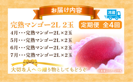 《2026年発送先行予約》【数量・期間限定】完熟マンゴー2L×2玉定期便　全4回 マンゴー フルーツ 果物 定期便