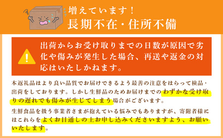 【先行予約】【期間限定 2月～5月まで】おまかせ 埼玉県産 いちご2種類セット 1箱(270g×2パック) (かおり野、紅ほっぺ、よつぼし、べにたまから2品種を選定) | イチゴ 苺 ストロベリー い