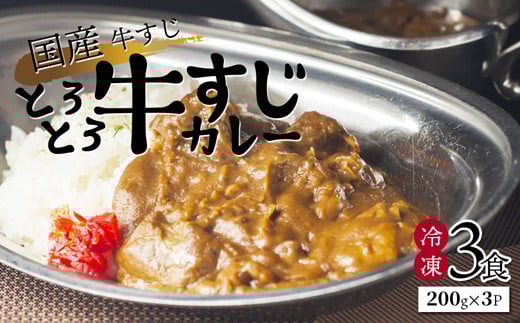 
            とろとろ牛すじカレー 3食 （200g×3個） 国産牛すじカレー 牛すじ カレー レトルト 冷凍 簡単 グルメ お取り寄せ 金曜日カレー 京都 舞鶴 凡愚
          
